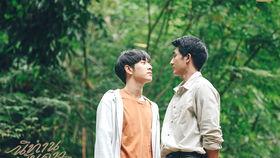 xql是哪个明星,当红明星背后的故事